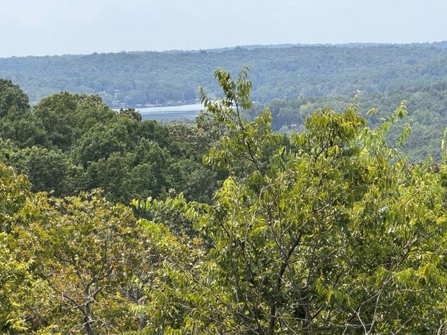 2 Goti Drive, Cherokee Village, AR 72529