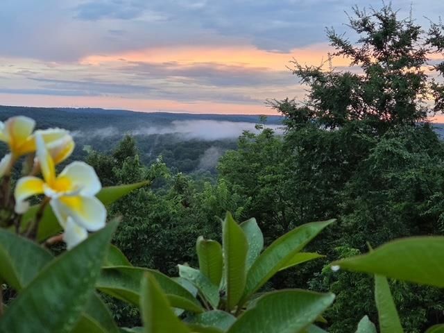 2 Goti Drive, Cherokee Village, AR 72529