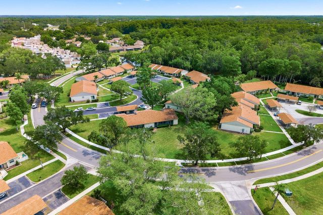 20 EVELYN COURT, Oldsmar, FL 34677