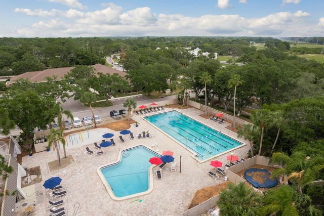 20 EVELYN COURT, Oldsmar, FL 34677