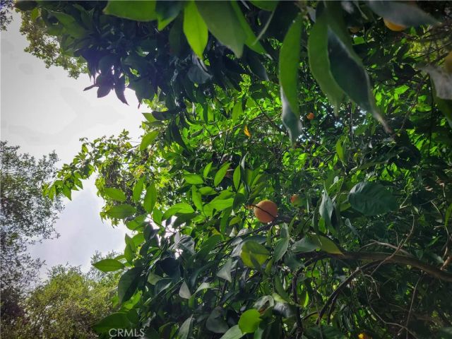 5 Via Vaquero, Temecula, CA 92590