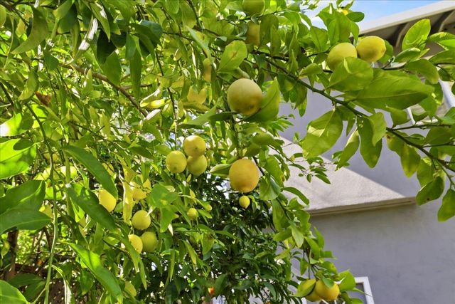 612 Hudson Street, Redwood City, CA 94061