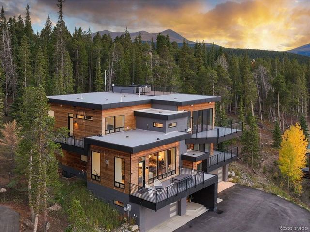 290 N Fuller Placer Road, Breckenridge, CO 80424