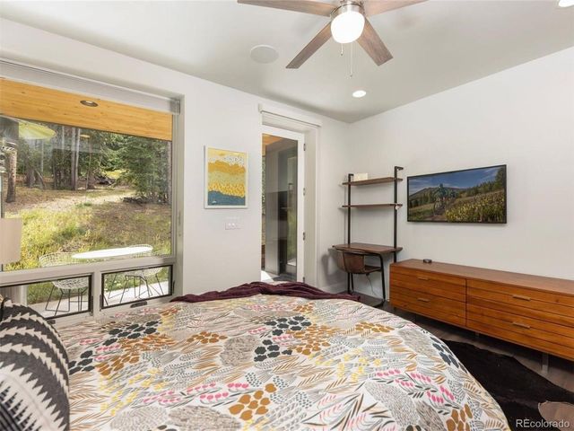 290 N Fuller Placer Road, Breckenridge, CO 80424