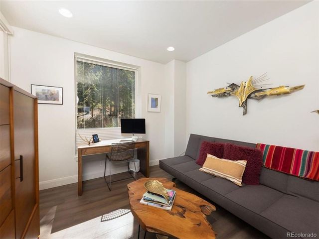 290 N Fuller Placer Road, Breckenridge, CO 80424