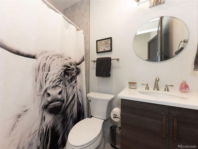 290 N Fuller Placer Road, Breckenridge, CO 80424