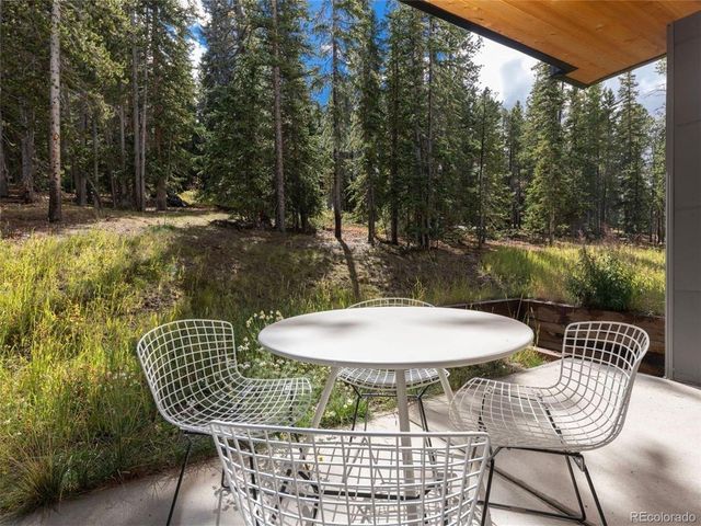 290 N Fuller Placer Road, Breckenridge, CO 80424