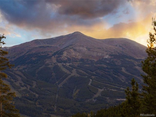 290 N Fuller Placer Road, Breckenridge, CO 80424