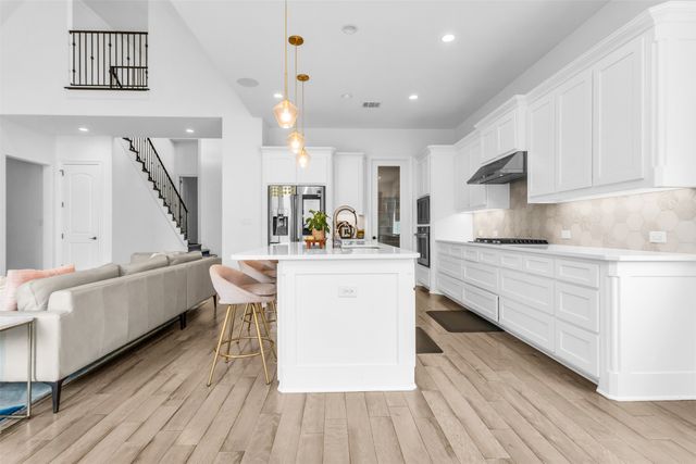 13283 Secretariat Boulevard, Frisco, TX 75035
