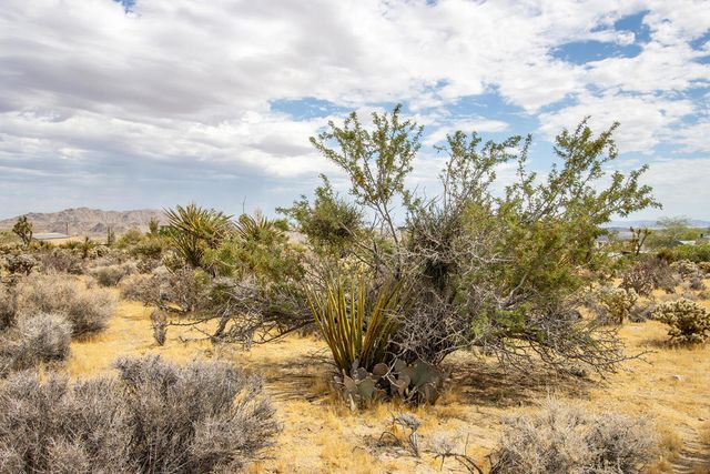 207 Onaga Trail, Joshua Tree, CA 92252
