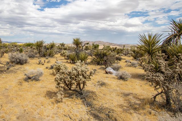 207 Onaga Trail, Joshua Tree, CA 92252