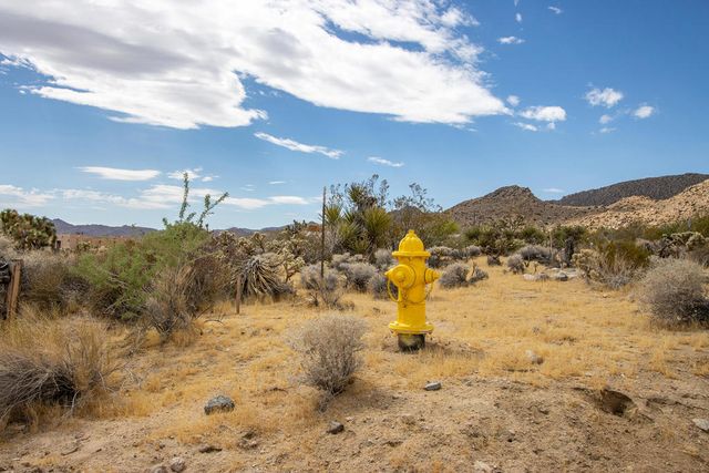207 Onaga Trail, Joshua Tree, CA 92252