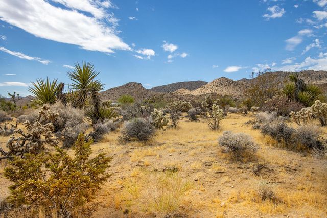 207 Onaga Trail, Joshua Tree, CA 92252