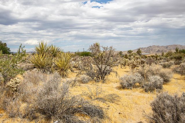 207 Onaga Trail, Joshua Tree, CA 92252