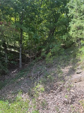347 Meteor Court NE, Ranger, GA 30734