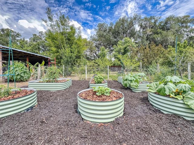 2713 CR 776, Webster, FL 33597