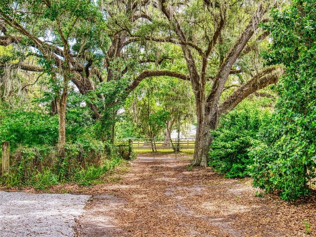 2713 CR 776, Webster, FL 33597