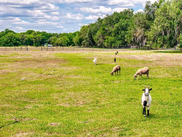 2713 CR 776, Webster, FL 33597