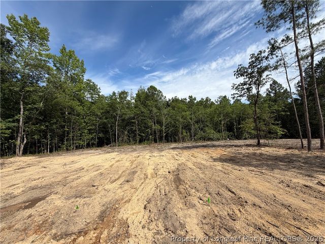 89 Omie Branch Lane, Lillington, NC 27546