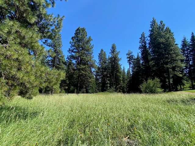 19009 Dead Indian Memorial, Ashland, OR 97520