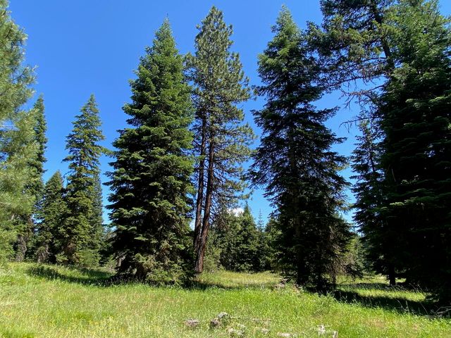 19009 Dead Indian Memorial, Ashland, OR 97520