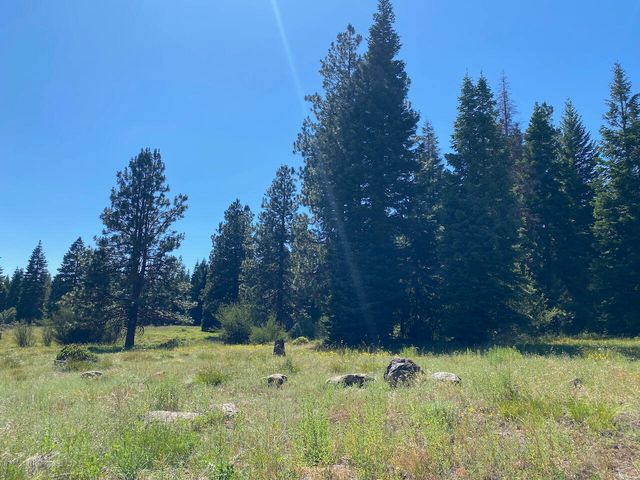 19009 Dead Indian Memorial, Ashland, OR 97520