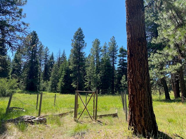 19009 Dead Indian Memorial, Ashland, OR 97520