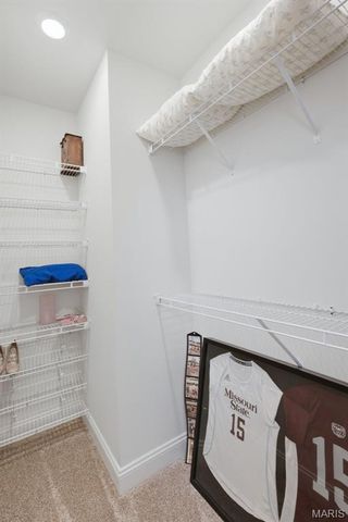 312 Deep Ravine Court, St Charles, MO 63301