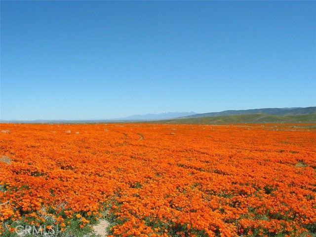 13200 W Avenue G12, Lancaster, CA 93536