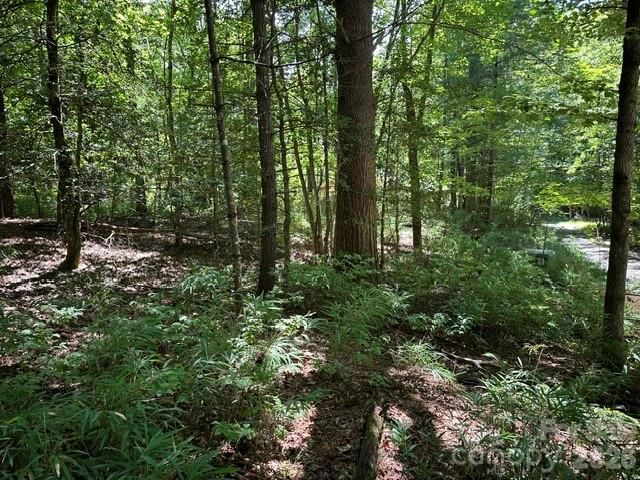 TBD Blossom Road, Brevard, NC 28712