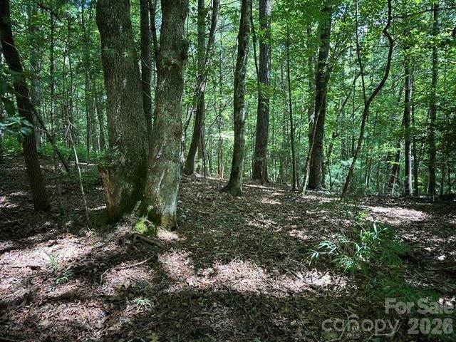 TBD Blossom Road, Brevard, NC 28712