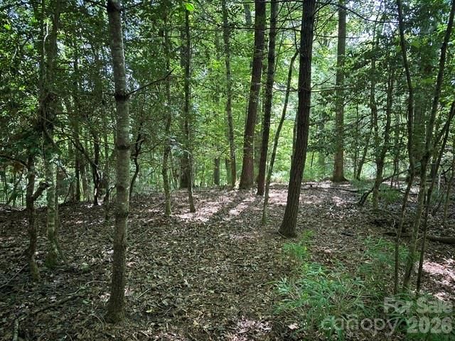 TBD Blossom Road, Brevard, NC 28712