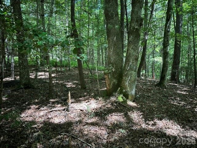 TBD Blossom Road, Brevard, NC 28712
