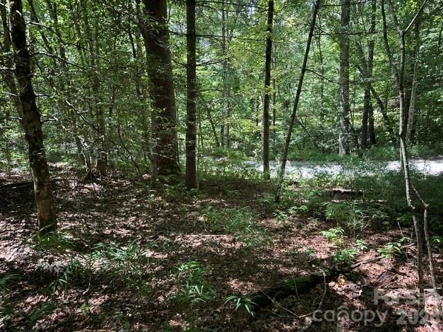 TBD Blossom Road, Brevard, NC 28712