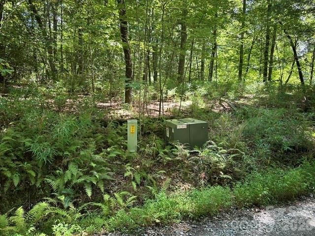 TBD Blossom Road, Brevard, NC 28712