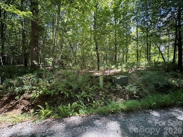 TBD Blossom Road, Brevard, NC 28712