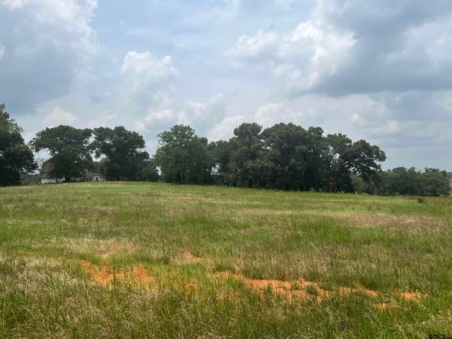 Lot 9 cr 3312, Chandler, TX 75758