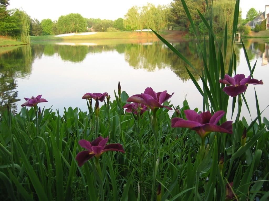 7610 Wentworth Drive, Duluth, GA 30097