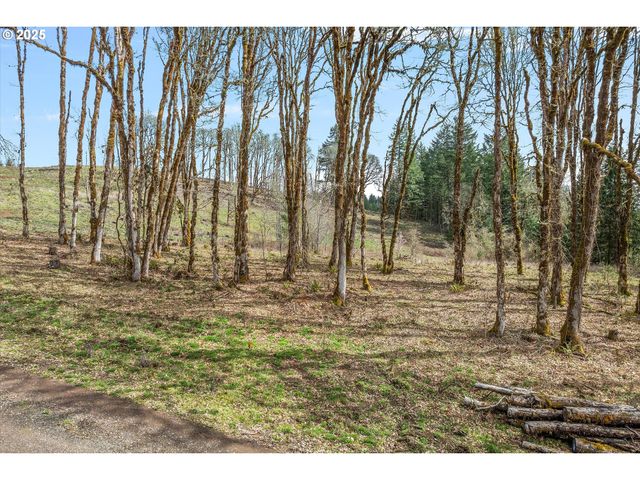 0 Nw Berry Creek Rd. #1, Mc Minnville, OR 97128