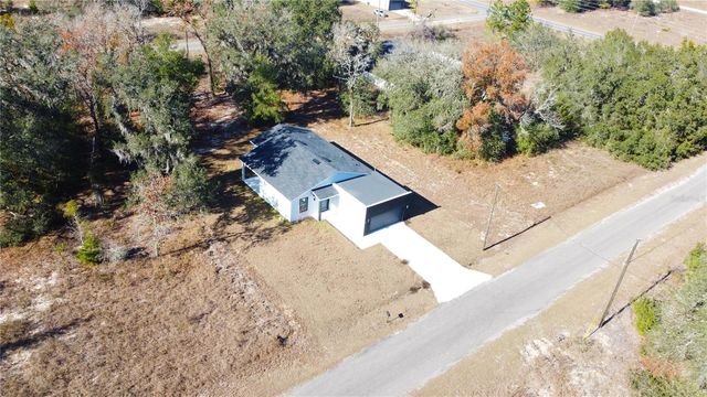 10 GUAVA LANE COURSE, Ocklawaha, FL 32179