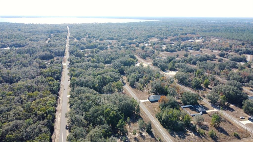 Image 24 of property listing at 10 GUAVA LANE COURSE, Ocklawaha, FL 32179