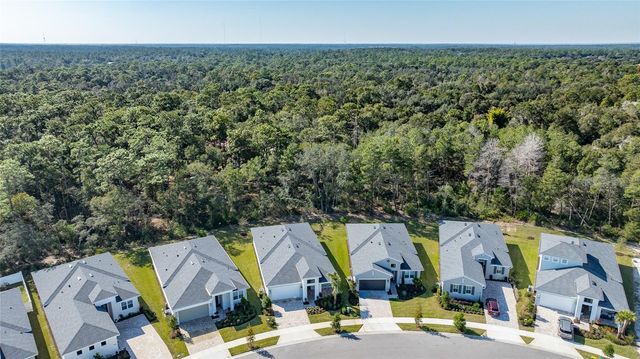 1017 LILIANA DRIVE, Deland, FL 32724