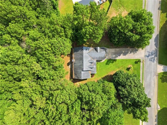 8876 Camp Tree Ct Court, Winston, GA 30187