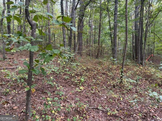 3834 Salacoa -TRACT B, Waleska, GA 30183