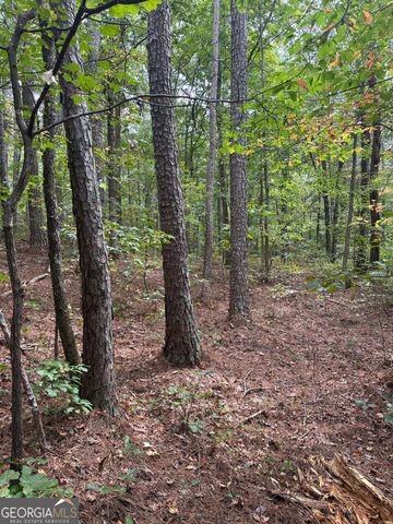 3834 Salacoa -TRACT B, Waleska, GA 30183