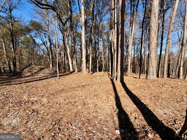 8121 Heardsville Circle, Cumming, GA 30028