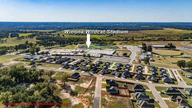 203 Toro Dr., Winona, TX 75792