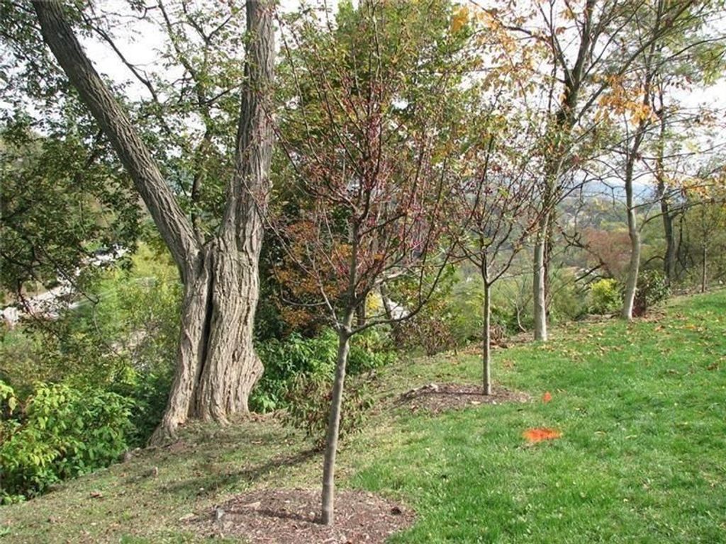 2643 Fernwald Road, Squirrel Hill, PA 15217