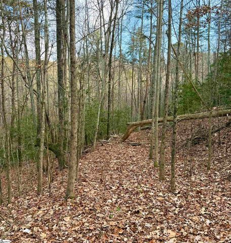 91 Roco Trail, Travelers Rest, SC 29690