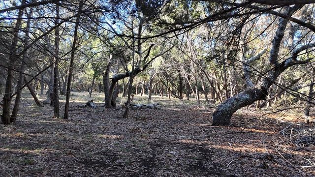 1800 S Rainbow Ranch Road, Wimberley, TX 78676